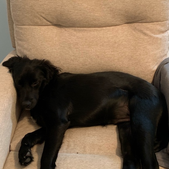 Meet your Posher, Diedra - Picture 1 of 1